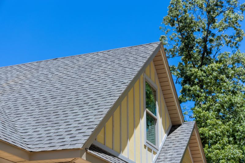 Shingle Roof Replacement